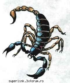 tatuaje scorpion Fragile