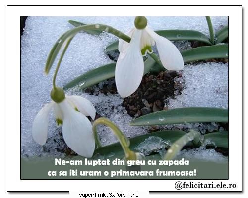 Buna dimineatza forum! - si din partea mea pentru toti care vor sa vina - Discutii serioase