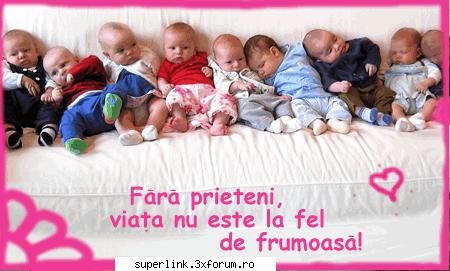 Felicitari - testosu - Video si poze fun