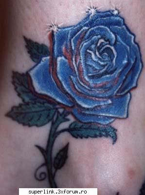 Tatuaje - micutza - Katerinca, aberatii