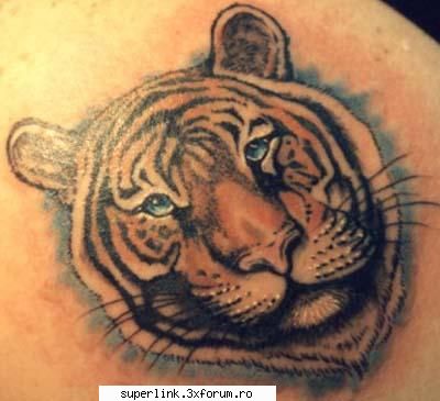 Tatuaje - micutza - Katerinca, aberatii