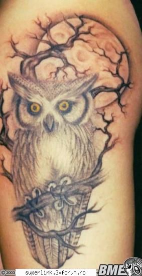 Tatuaje - mad_bull - Katerinca, aberatii