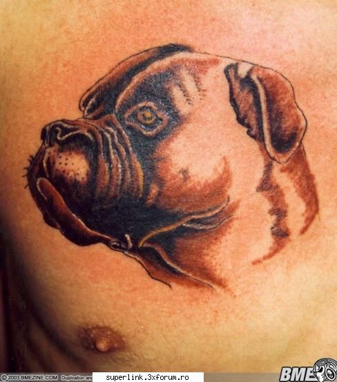 Tatuaje - mad_bull - Katerinca, aberatii
