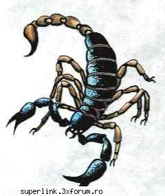 Tatuaje - si un scorpion ;) - Katerinca, aberatii
