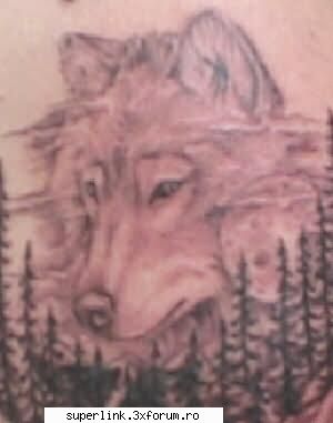 Tatuaje - mad_bull - Katerinca, aberatii