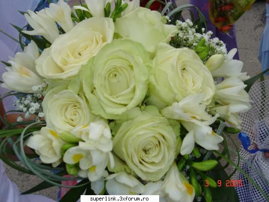 Wallpapere - niste floricele pt fete - Alte "chestii"