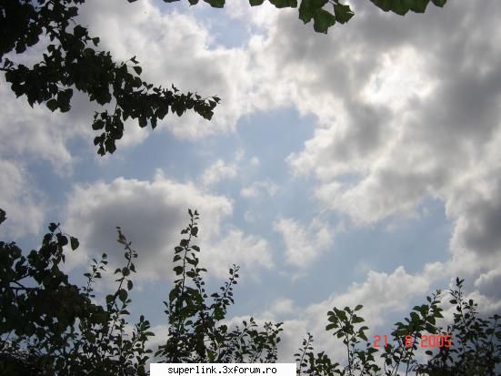 Wallpapere - micutza - Alte "chestii"