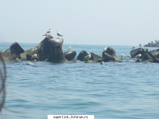Wallpapere - am fost si eu la mare...anul asta - Alte "chestii"