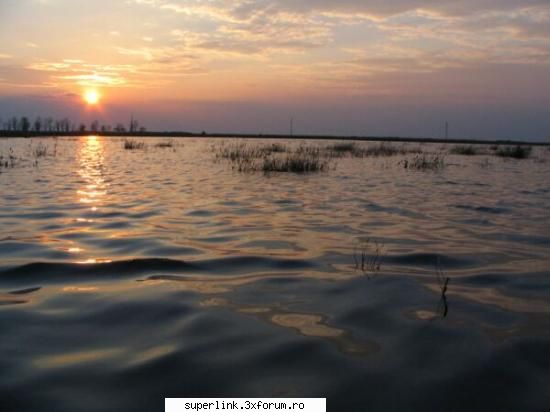Wallpapere - micutza - Alte "chestii"