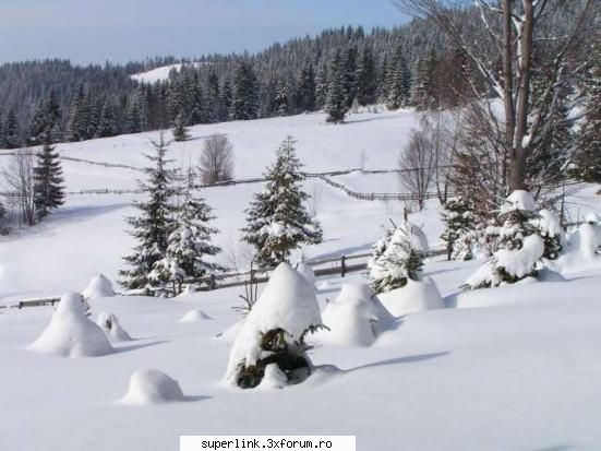 Wallpapere - micutza - Alte "chestii"