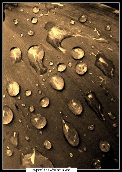 Wallpapere - micutza - Alte "chestii"