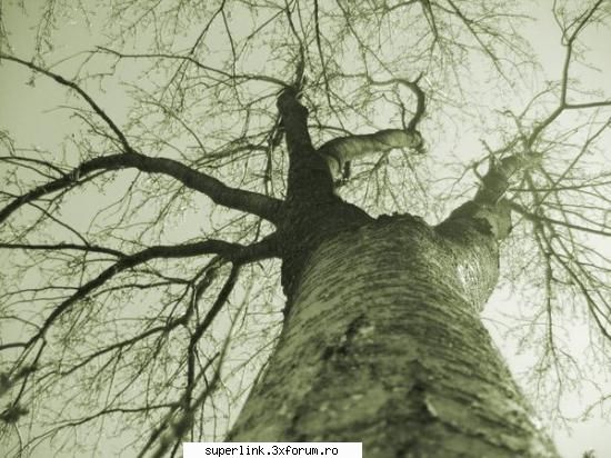 Wallpapere - micutza - Alte "chestii"