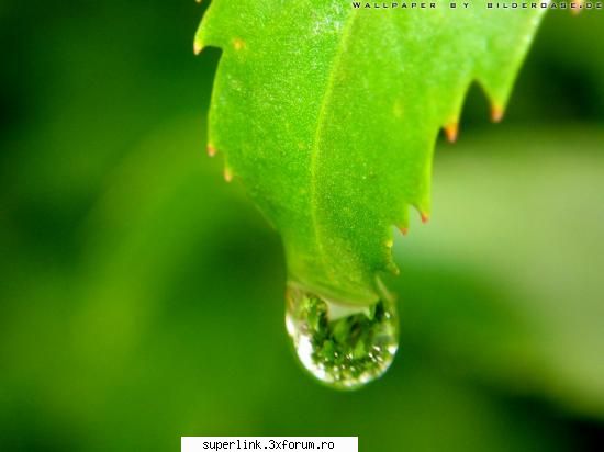 Wallpapere - atomic_man - Alte "chestii"