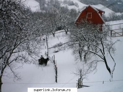 Wallpapere - bran....o zona superba....;) - Alte "chestii"