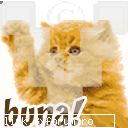 avatar pentru toti - delaurentis - Cool stuff