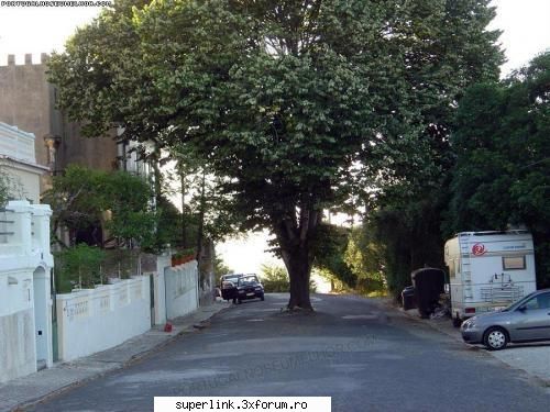 funny new pictures - delaurentis - Video si poze fun