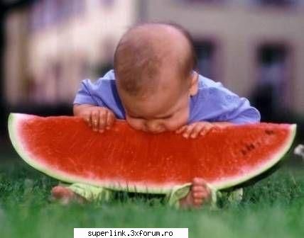funny new pictures - delaurentis - Video si poze fun