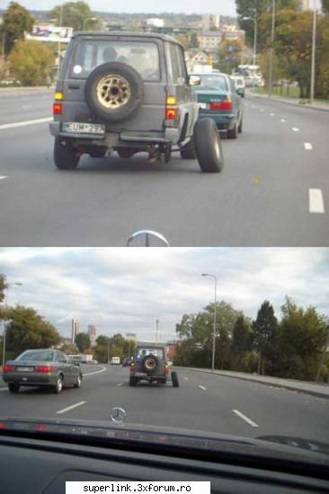 funny picture - delaurentis - Video si poze fun