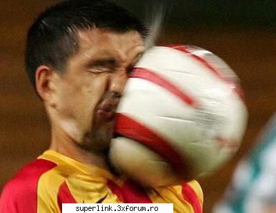 funny picture - delaurentis - Video si poze fun