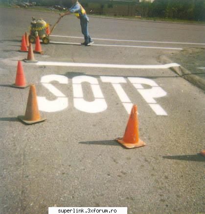 funny picture - delaurentis - Video si poze fun
