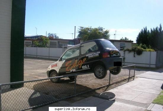 funny picture - delaurentis - Video si poze fun