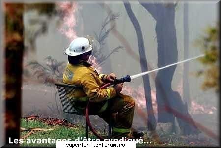 funny picture - delaurentis - Video si poze fun