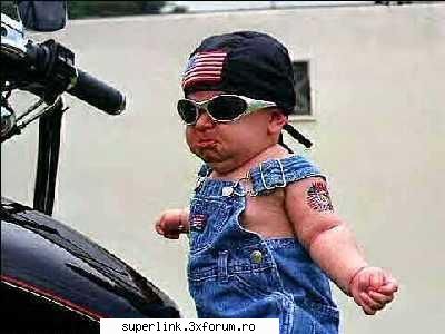 funny picture - testosu - Video si poze fun