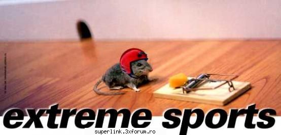 funny picture - testosu - Video si poze fun