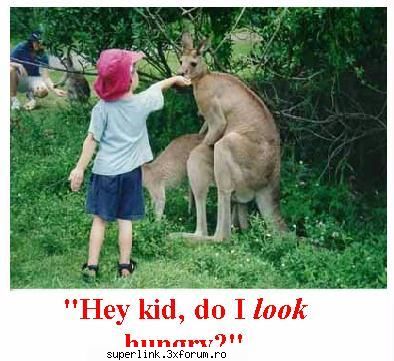 funny picture - testosu - Video si poze fun
