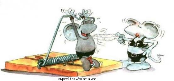 funny picture - testosu - Video si poze fun