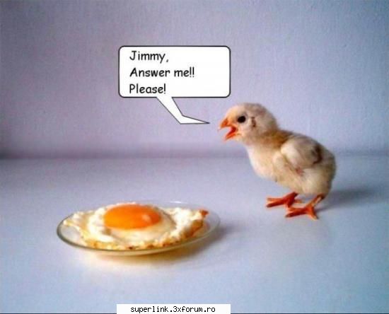 funny picture - testosu - Video si poze fun