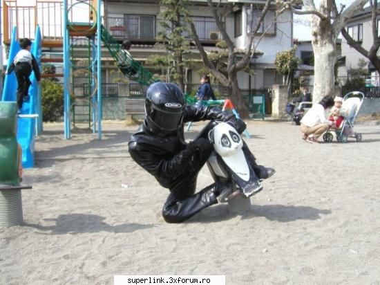 funny picture - testosu - Video si poze fun