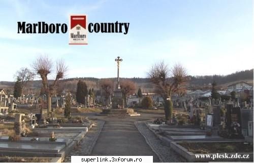 funny picture - smokin is bad 4 ur health - Video si poze fun