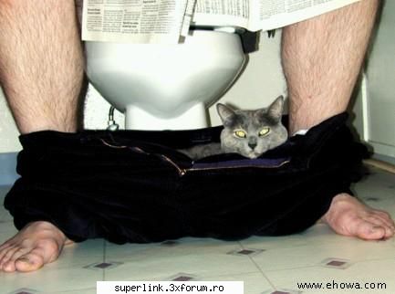 http://poze-fun.cere.ro/ - micutza - Video si poze fun