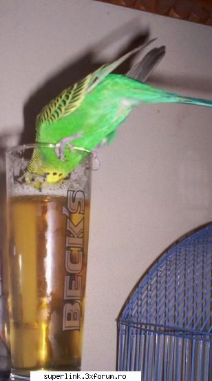 http://poze-fun.cere.ro/ - micutza - Video si poze fun