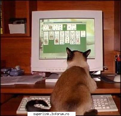http://poze-fun.cere.ro/ - micutza - Video si poze fun