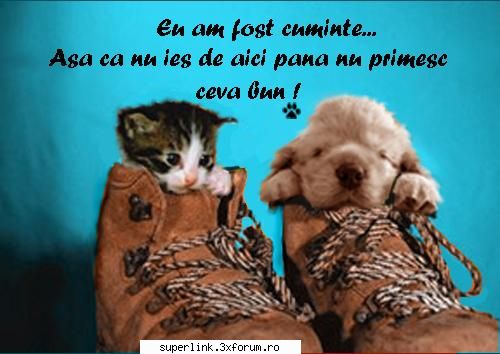 http://poze-fun.cere.ro/ - micutza - Video si poze fun