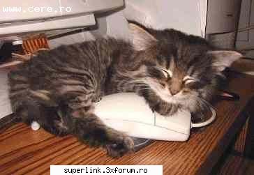 http://poze-fun.cere.ro/ - Super misto!!! ;) - Video si poze fun