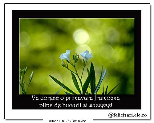 topic "de la una la alta" - micutza - Katerinca, aberatii